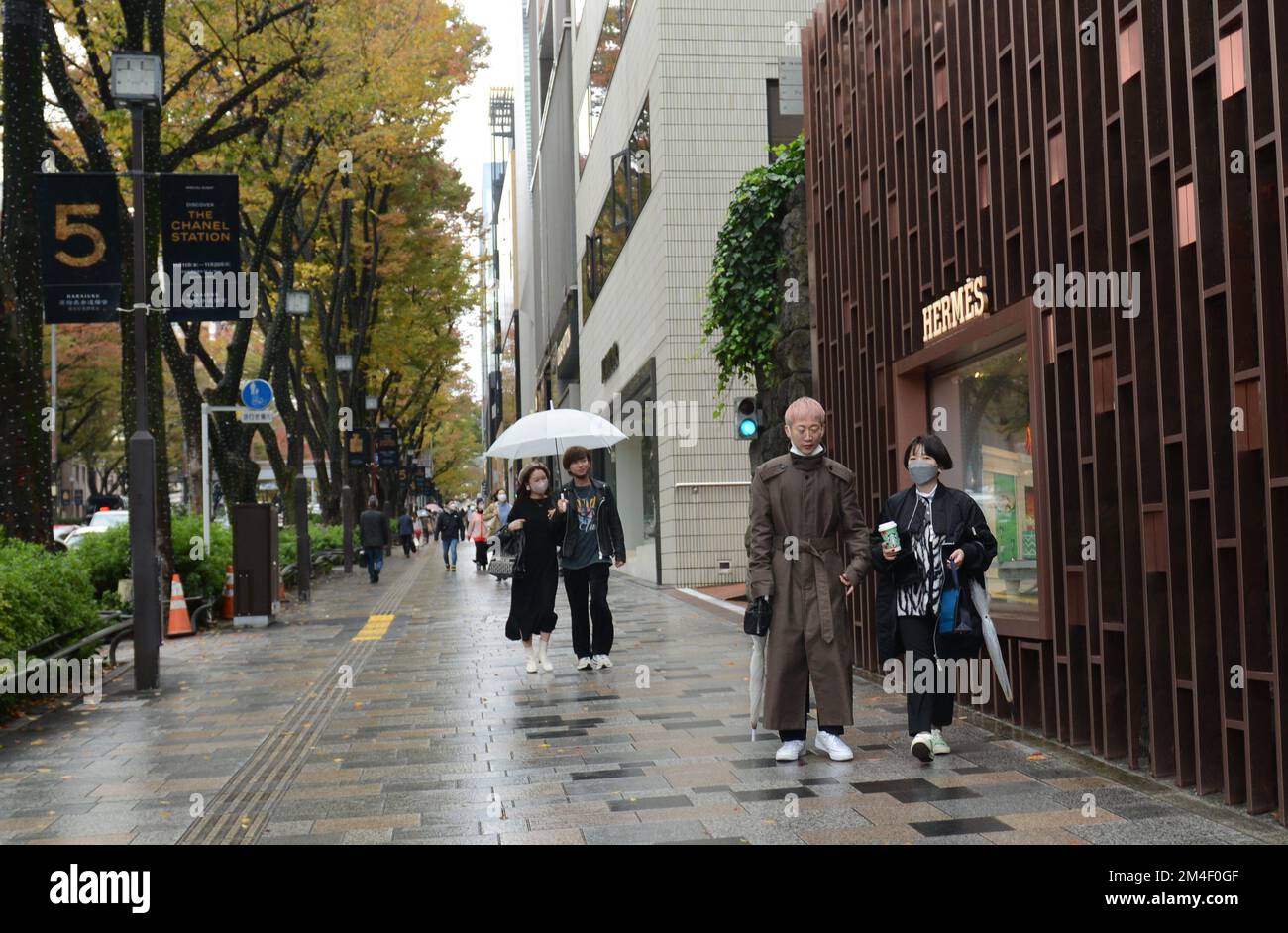 The fashionable Omotesandō Avenue lined with stylish designer shops and hip cafes. Tokyo, Japan. Stock Photo
