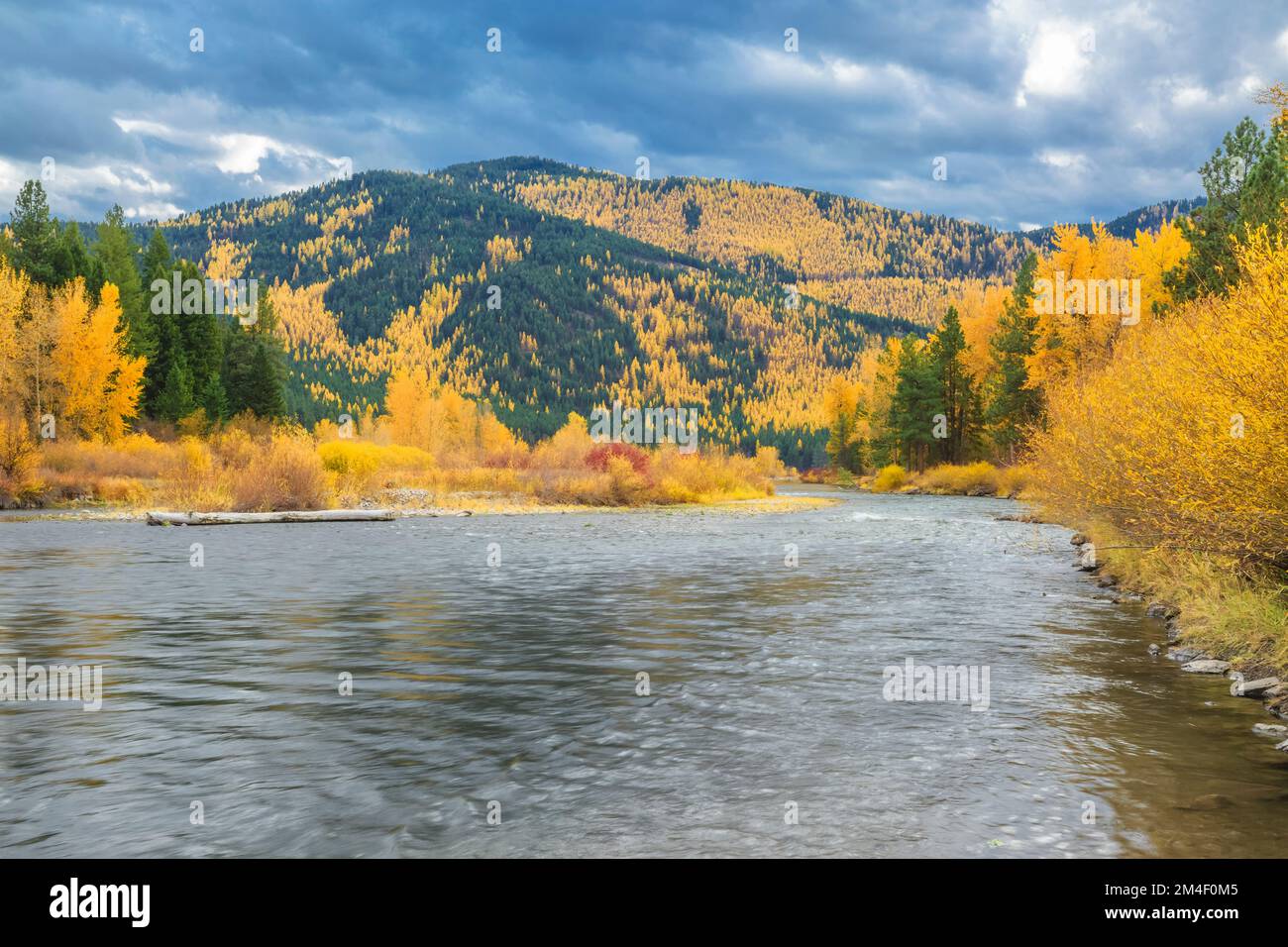 fall colors along the clark fork river at beavertail hill state park near clinton, montana Stock Photo