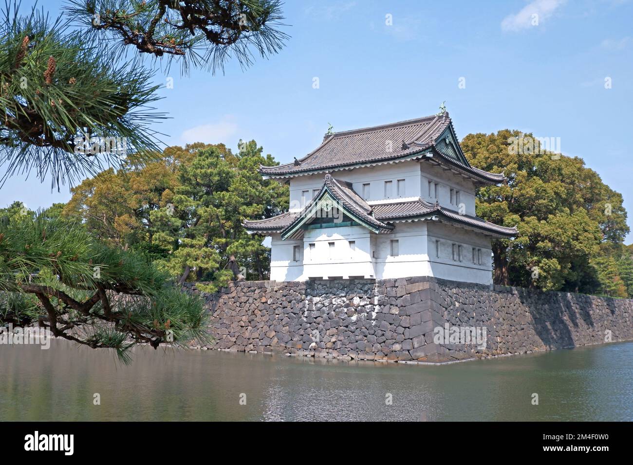 The Japanese castle with river and pine tree in springtime Stock Photo