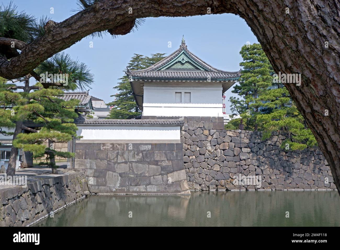 The Japanese castle, building frame with river and pine tree in springtime Stock Photo