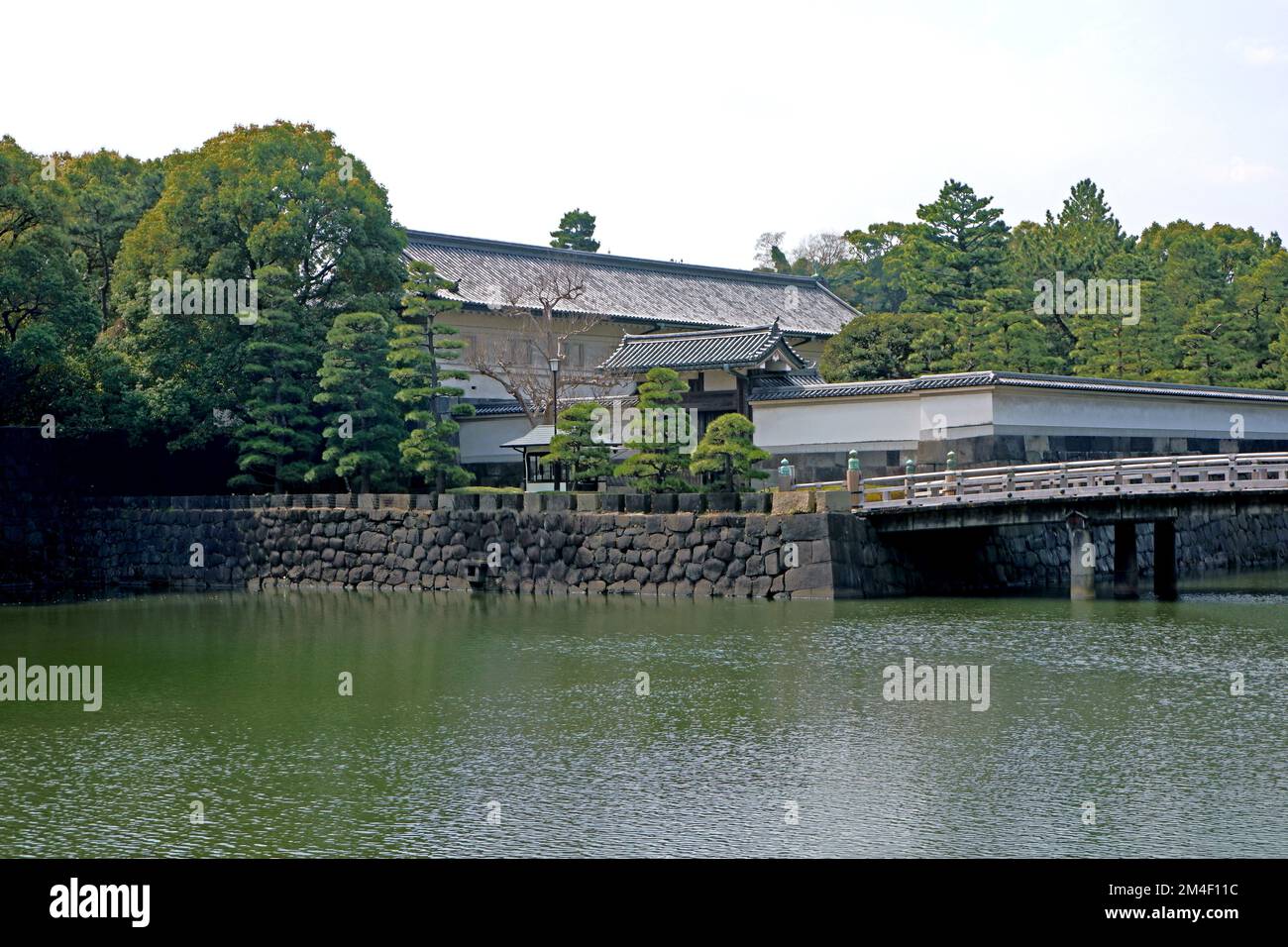 The Japanese castle, building frame, wooden bridge with river and pine tree in springtime Stock Photo