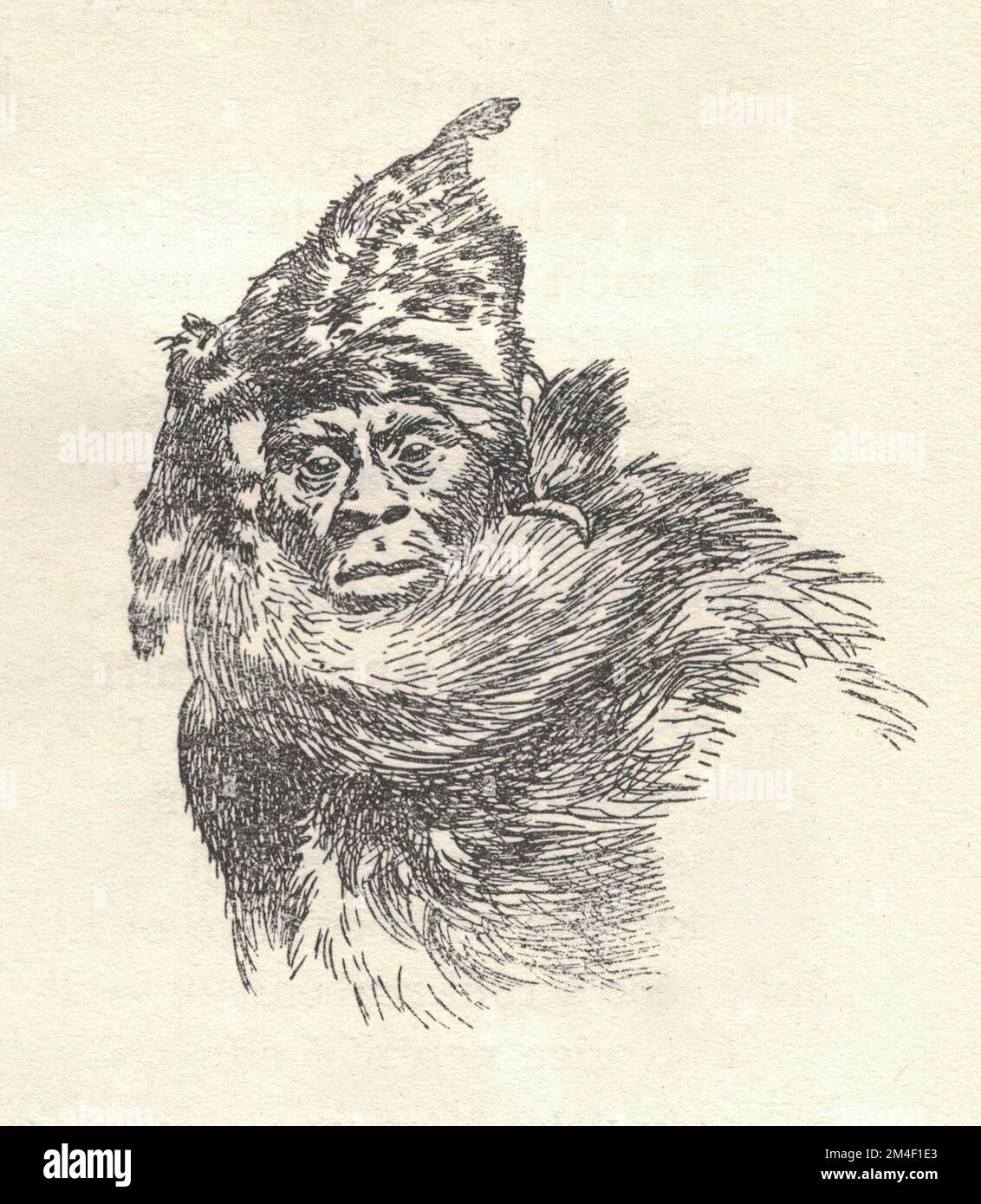 A prehistoric hunter dressed in furs. Depiction of a prehistoric animal. Old black and white illustration. Vintage drawing. Illustration by Zdenek Burian. Zdenek Michael Frantisek Burian (11 February 1905 in Koprivnice, Moravia, Austria-Hungary 1 July 1981 in Prague, Czechoslovakia) was a Czech painter, book illustrator and palaeoartist whose work played a central role in the development of palaeontological reconstruction. Originally recognised only in his native Czechoslovakia, Burian's fame later spread to an international audience during a remarkable career spanning six decades (1930s to 19 Stock Photo