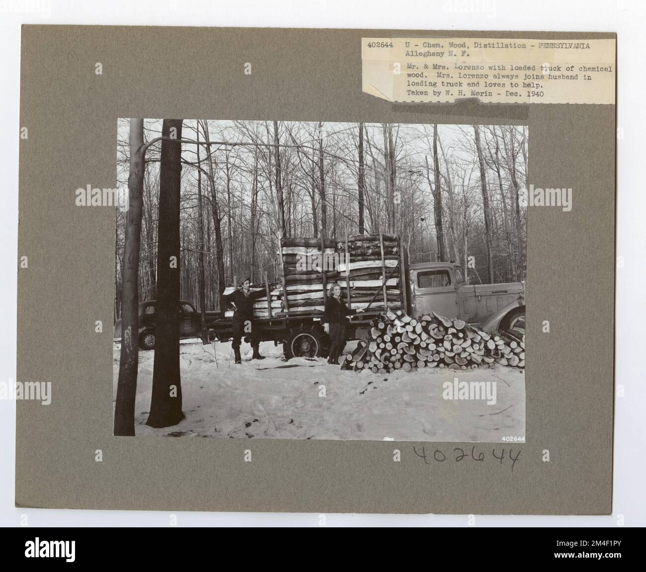 Forest Management and Timber Harvesting in Pennsylvania - Taking Wood Pa