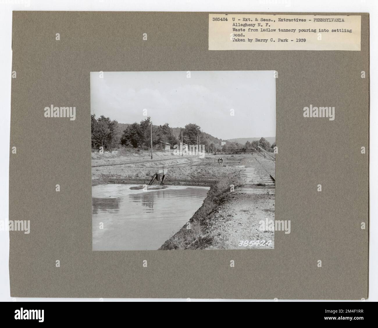 Chemical Wood Pennsylvania. Photographs Relating to National Forests