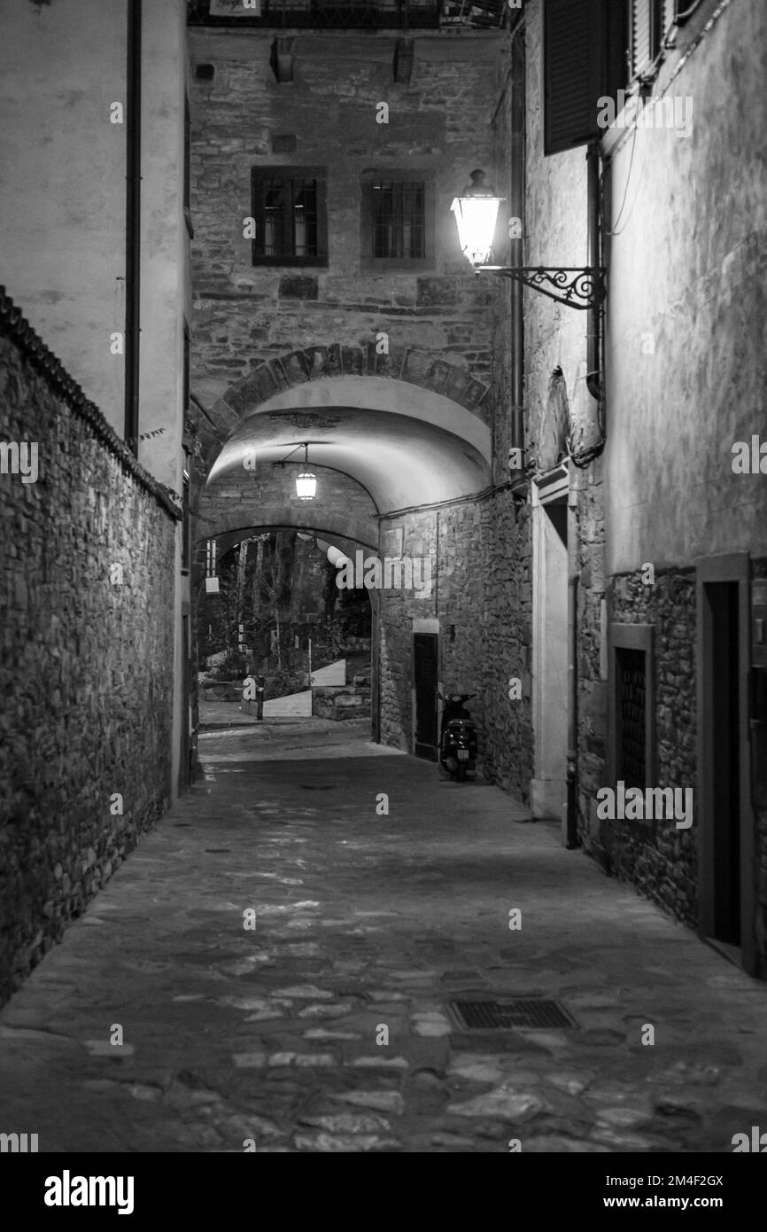 A vertical grayscale shot of a narrow alley with traditional stone ...