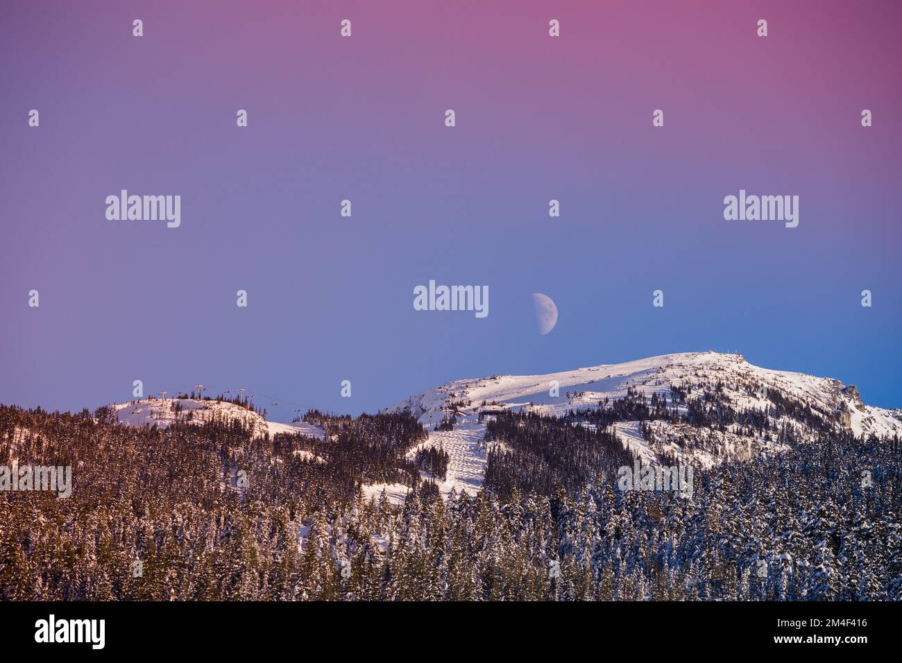 Abstract violet sky, mountain and waxing white moon. Winter mountains landscape - coniferous forest covered with snow, clear sky, ski slopes Stock Photo