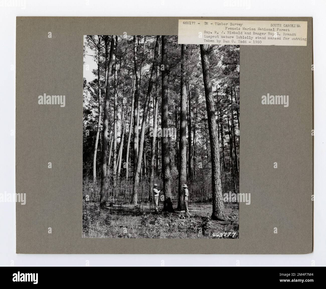 Surveying historical sites hi-res stock photography and images - Alamy
