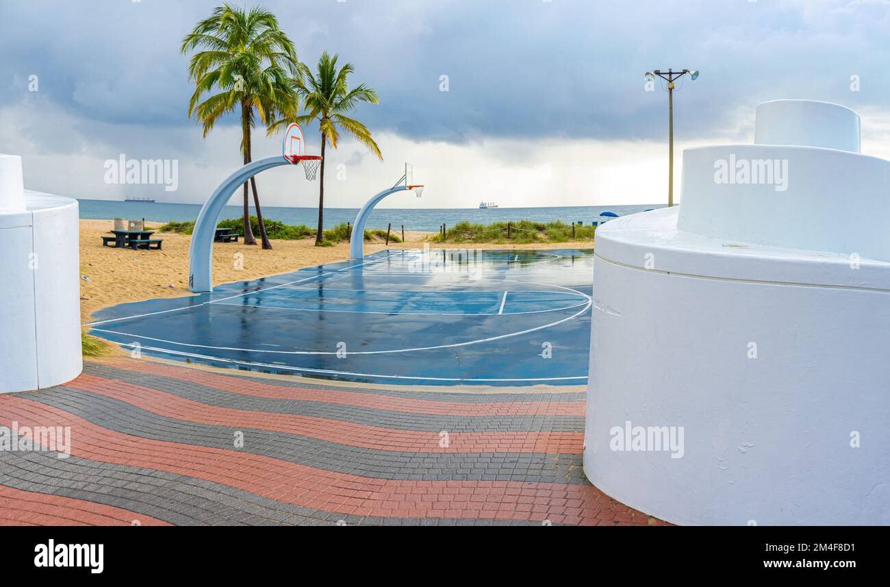 Basketball Court and Palm tree Fort Lauderdale Beach Florida USA Basketball Court and Palm tree Fort Lauderdale Beach Florida USA