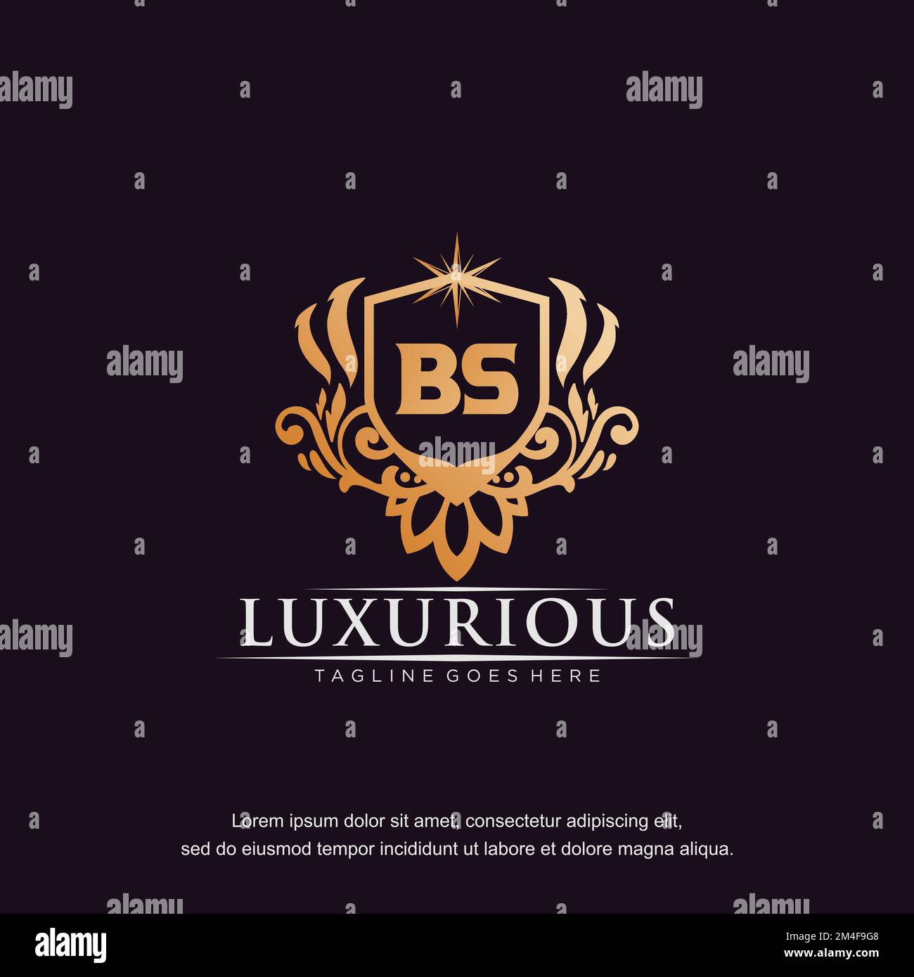 BS initial letter luxury ornament gold monogram logo template vector. Stock Vector