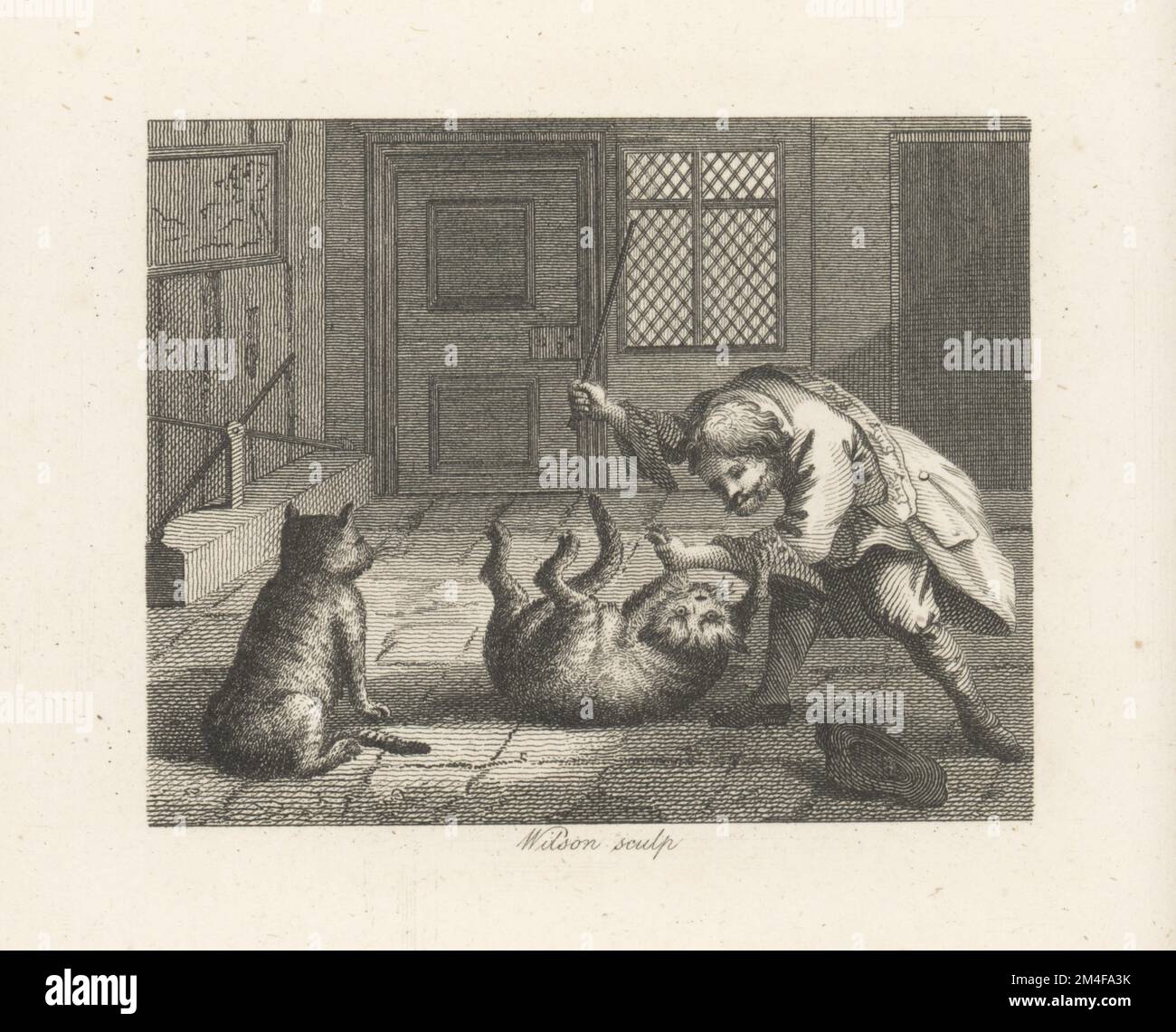 Rat-Catcher, 17th Century Stock Photo - Alamy