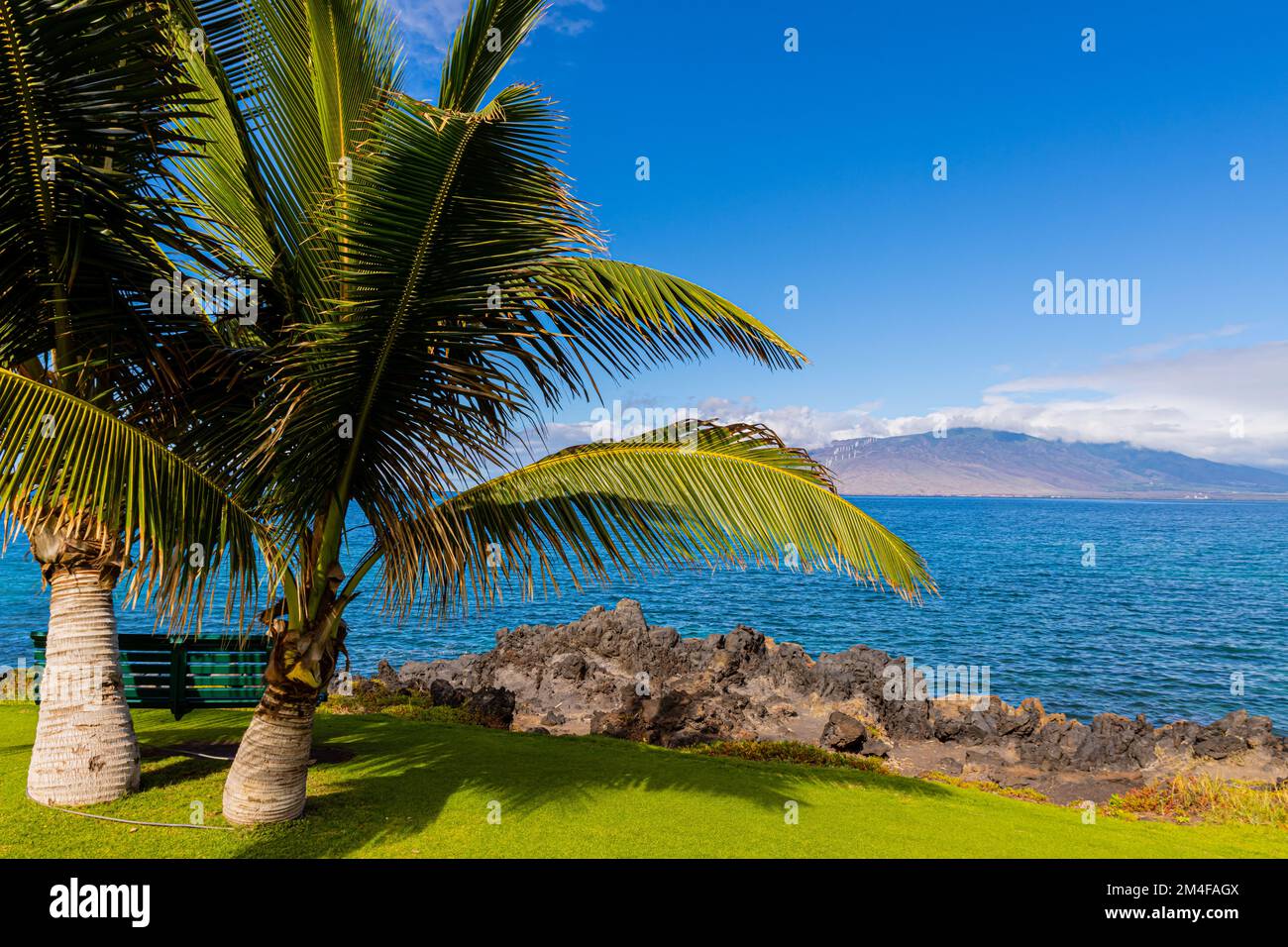 Bench Beneath Palm Trees on Keawakapu Beach, Maui, Hawaii, USA Stock Photo