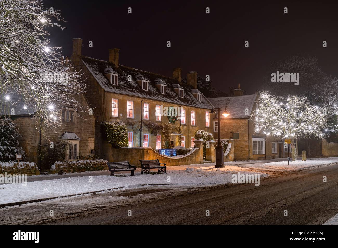 Picton house art gallery and Christmas tree light decorations at night