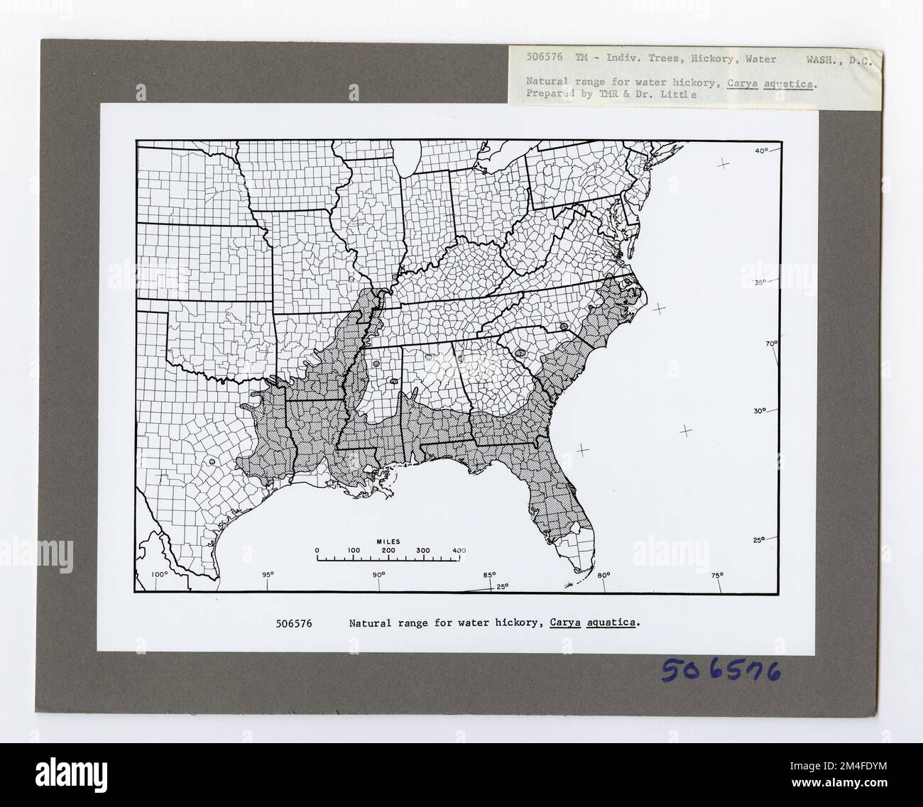 Tree Identification - Hickory: Water. Photographs Relating to National ...