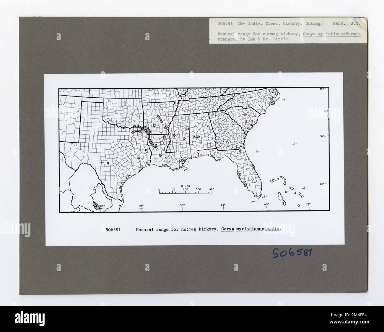 Tree Identification - Hickory: Nutmeg. Photographs Relating to National ...