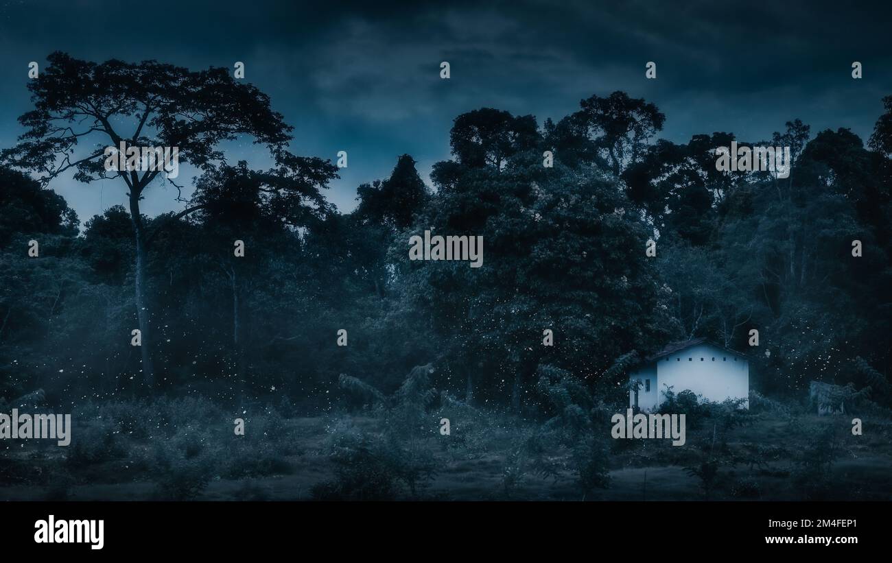 A landscape of Foggy forest trees at night with dark sky Stock Photo ...