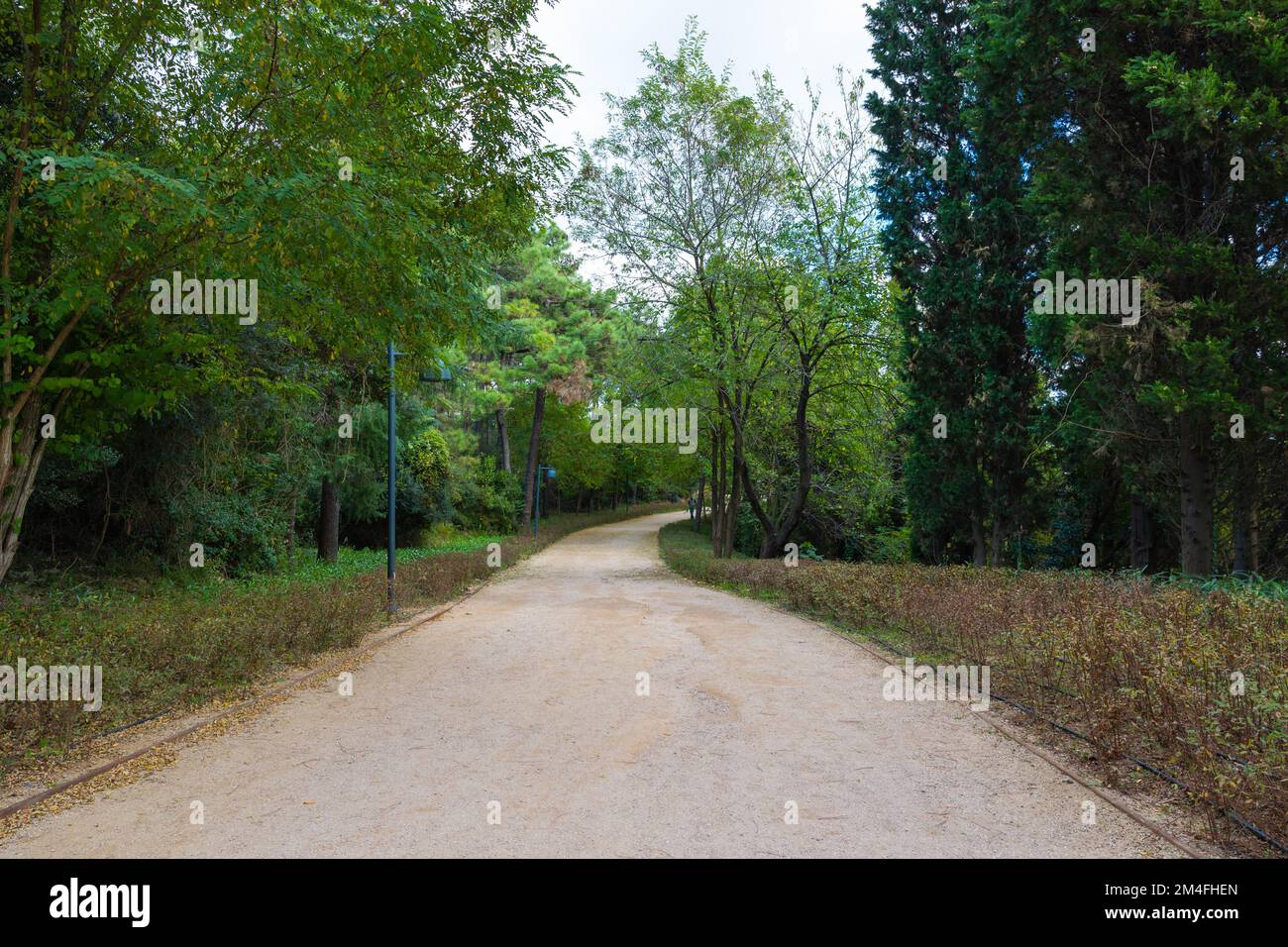 Haciosman or Ataturk City Forest in Sariyer Istanbul. Jogging trail in a park. Parks of Istanbul background photo. Stock Photo