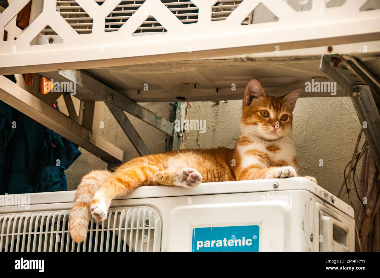A ginger cat lying on an external wall mounted air conditioning unit in