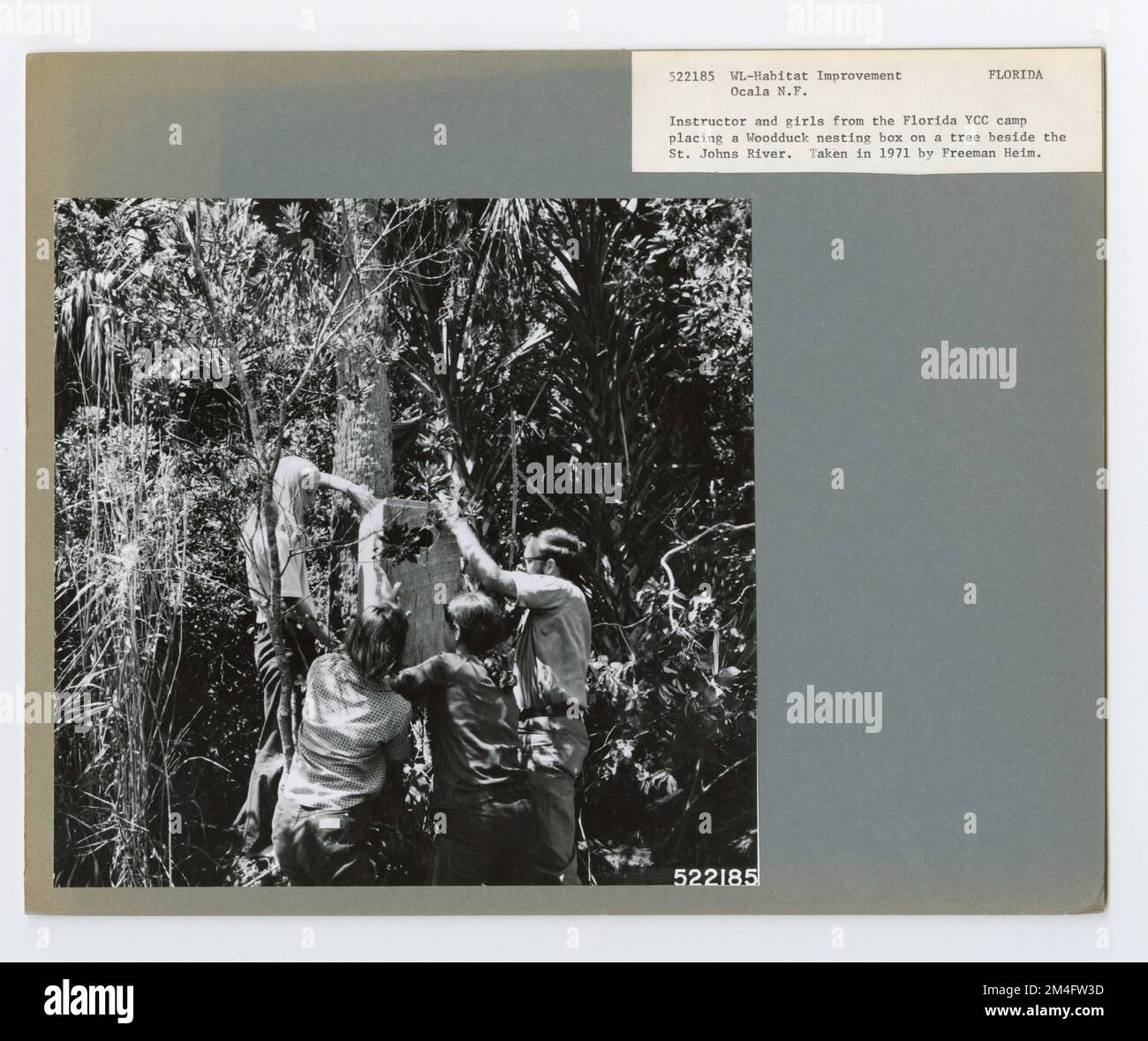 Animal Habitat Improvement - Florida. Photographs Relating to National ...