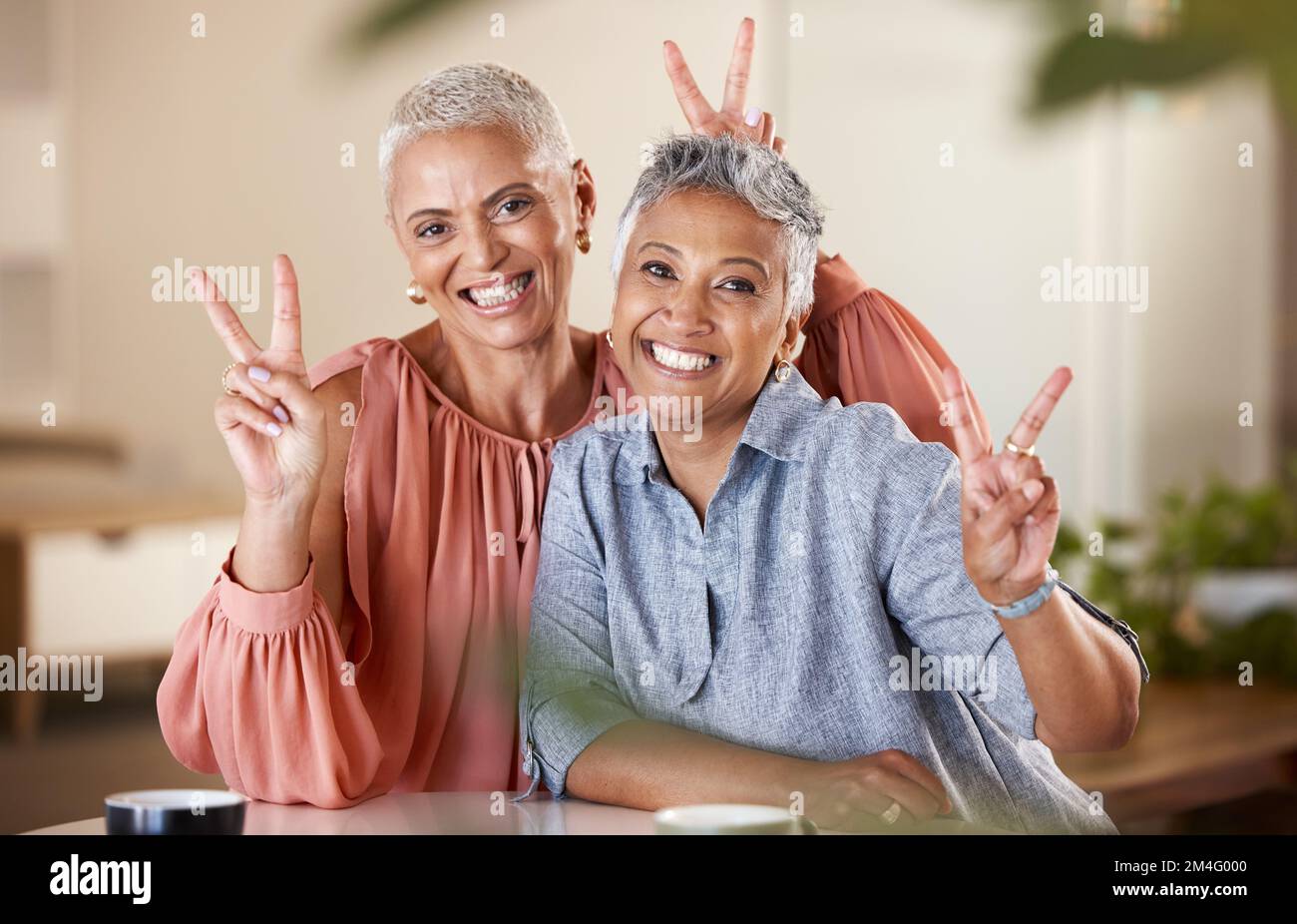 Senior women, bonding or peace sign in house or home living room for social media, profile picture or cool memory capture. Portrait, happy smile or Stock Photo
