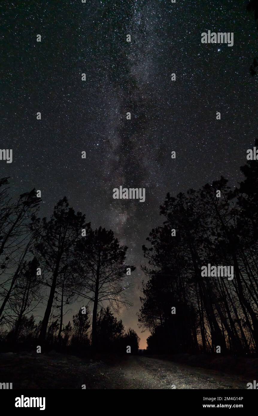 Track to the infinite with trees and milky way Stock Photo - Alamy