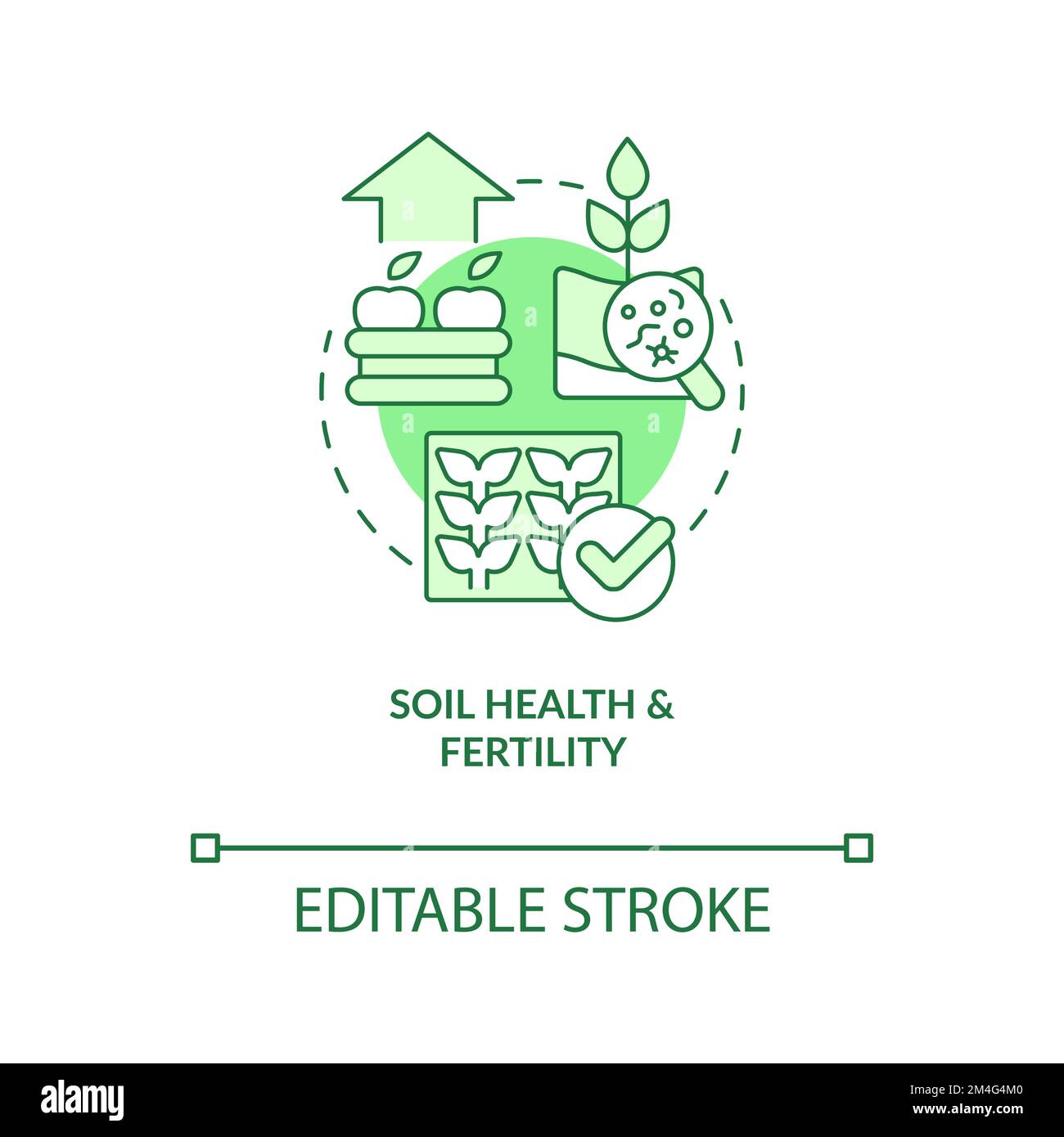 Soil health and fertility green concept icon Stock Vector Image & Art