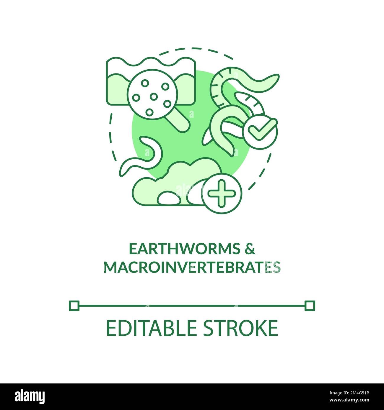 Earthworms and macroinvertebrates green concept icon Stock Vector