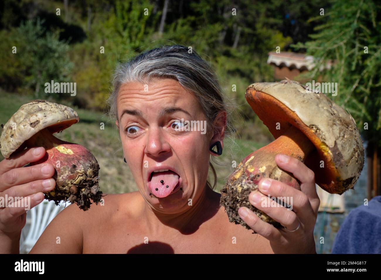 Female mushroom forager with Satins Boletus mushroom - One of the largest and most colorful poisonous mushrooms in the forest Stock Photo