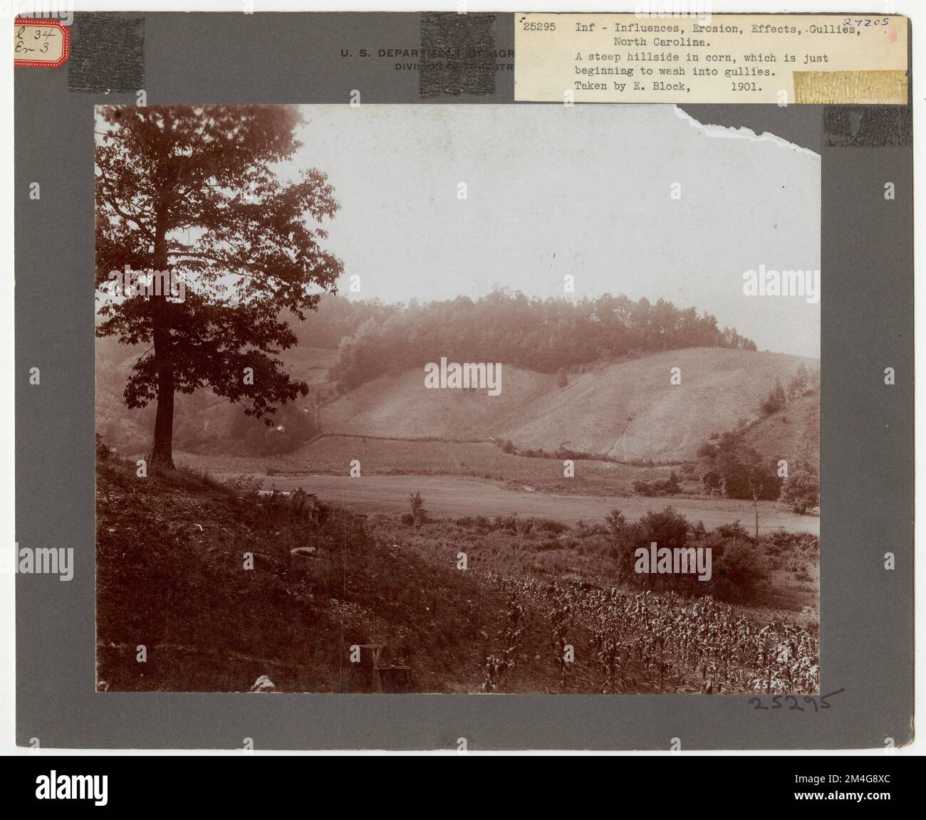 Erosion Effects - North Carolina. Photographs Relating to National ...