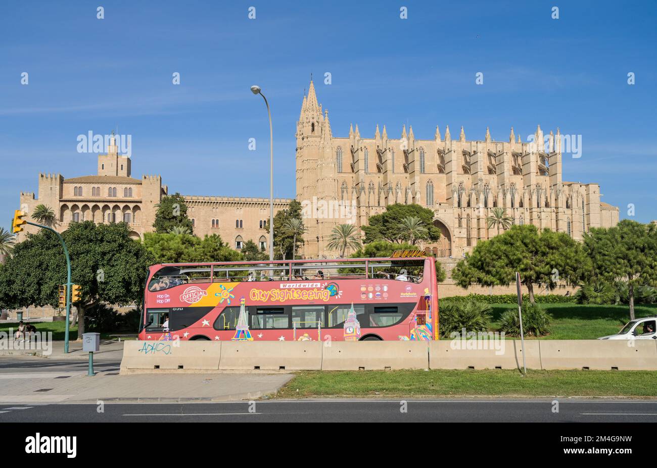Bus, Stadtbesichtigung, Touristen, Südansicht der Kathedrale, Catedral de  Palma de Mallorca, Palma, Mallorca, Spanien Stock Photo - Alamy