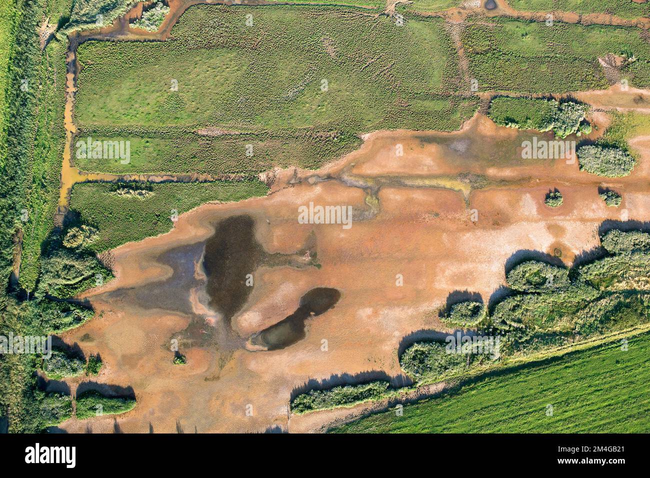 aerial view of salt marsh Putten Weiden, Belgium, Antwerp, Putten Weiden Stock Photo