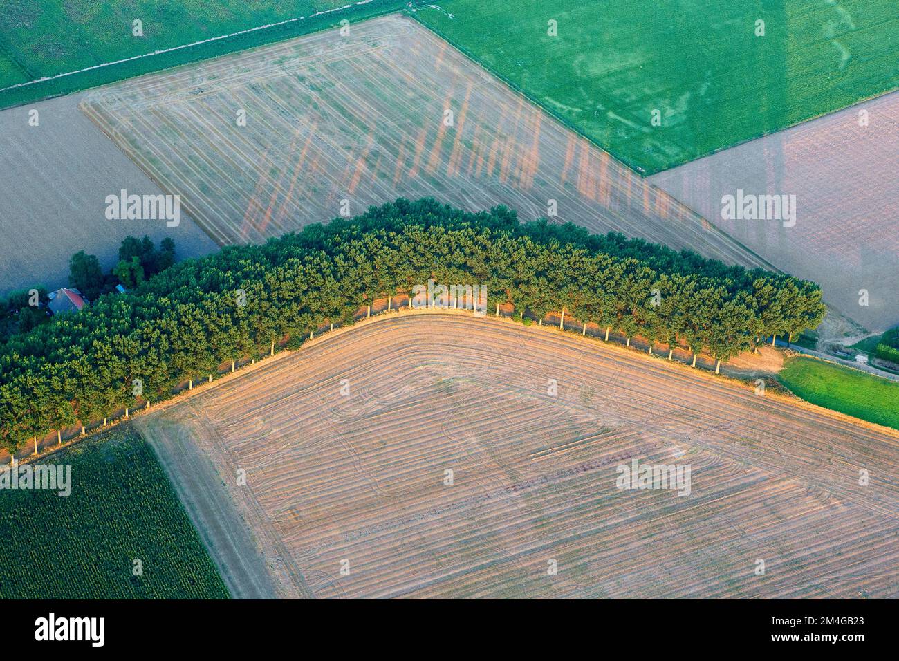 Hedwigepolder, aerial view, Belgium, Antwerp, Hedwigepolder Stock Photo