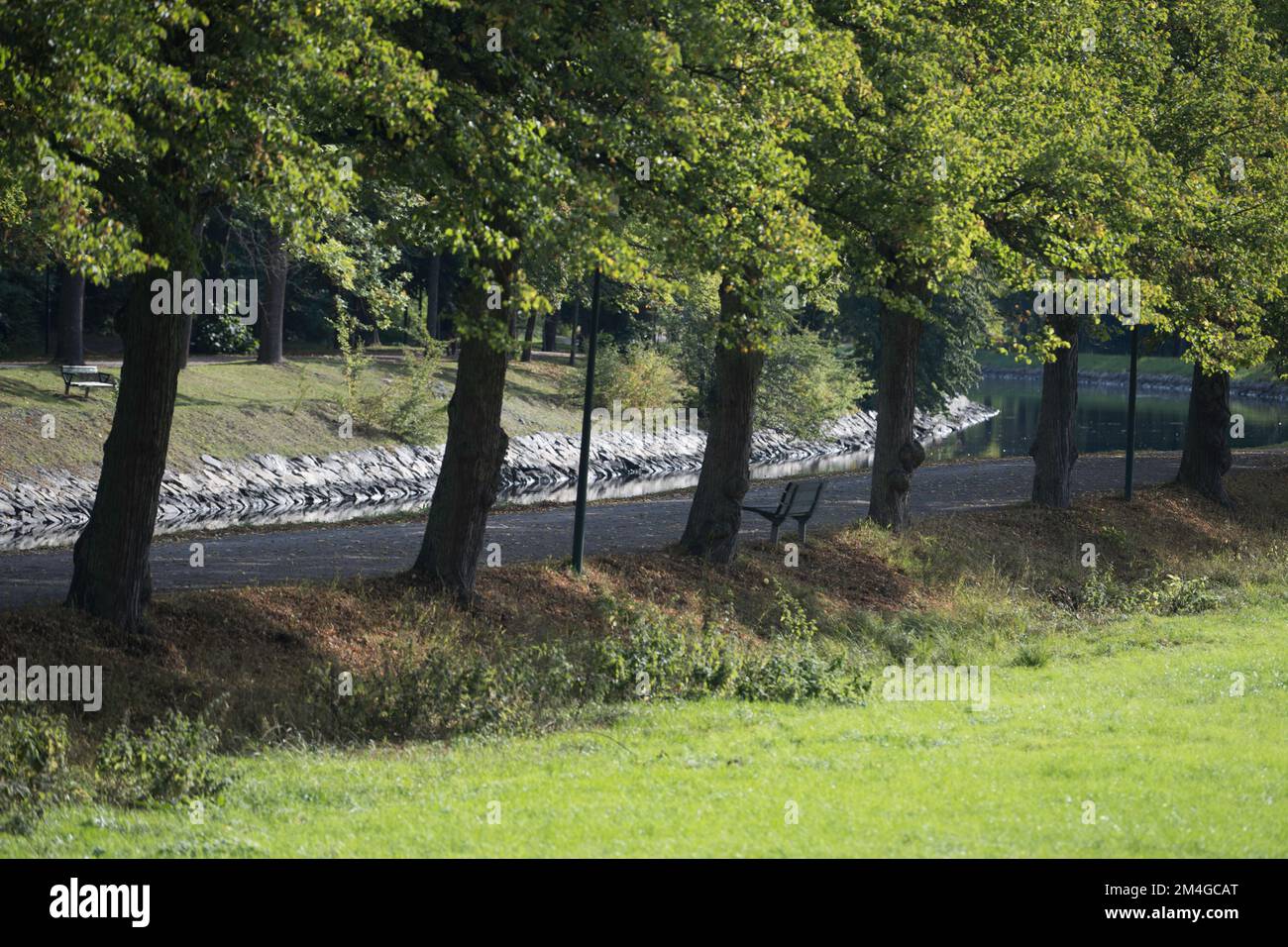 A green field with trees near a road Stock Photo - Alamy