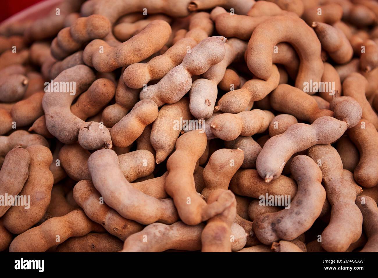 Tamarind When Ripe Ripe sweet tamarind fruit in the basket Stock Photo - Alamy