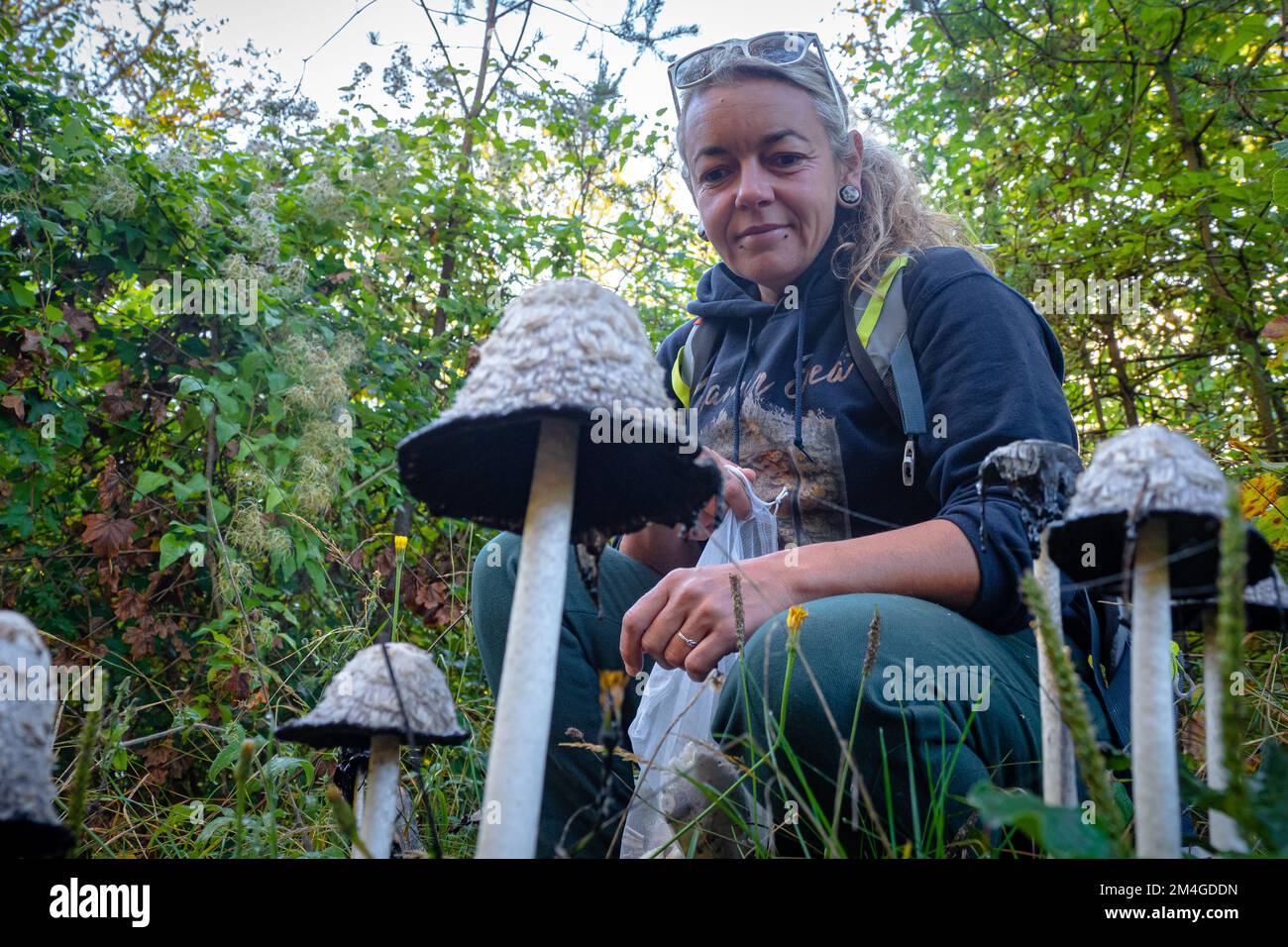 Mushroom forager trying to identify wild mushrooms in the forest with