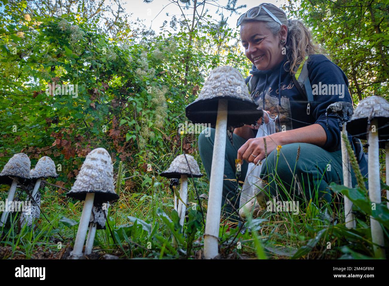 Mushroom forager trying to identify wild mushrooms in the forest with