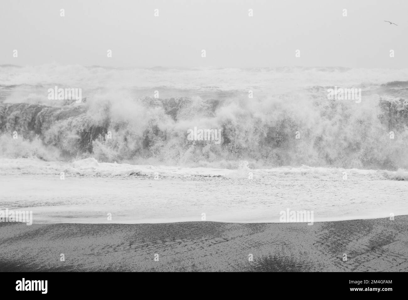 Large waves on black beach monochrome landscape photo Stock Photo