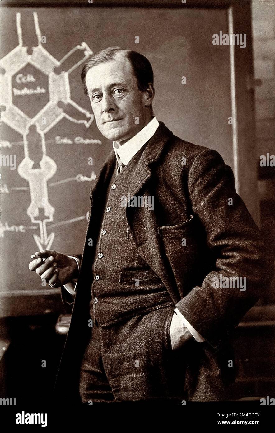 Louis COBBETT, British Professor of Pathology. Fellow of the Royal College of Surgeons (England). Stock Photo