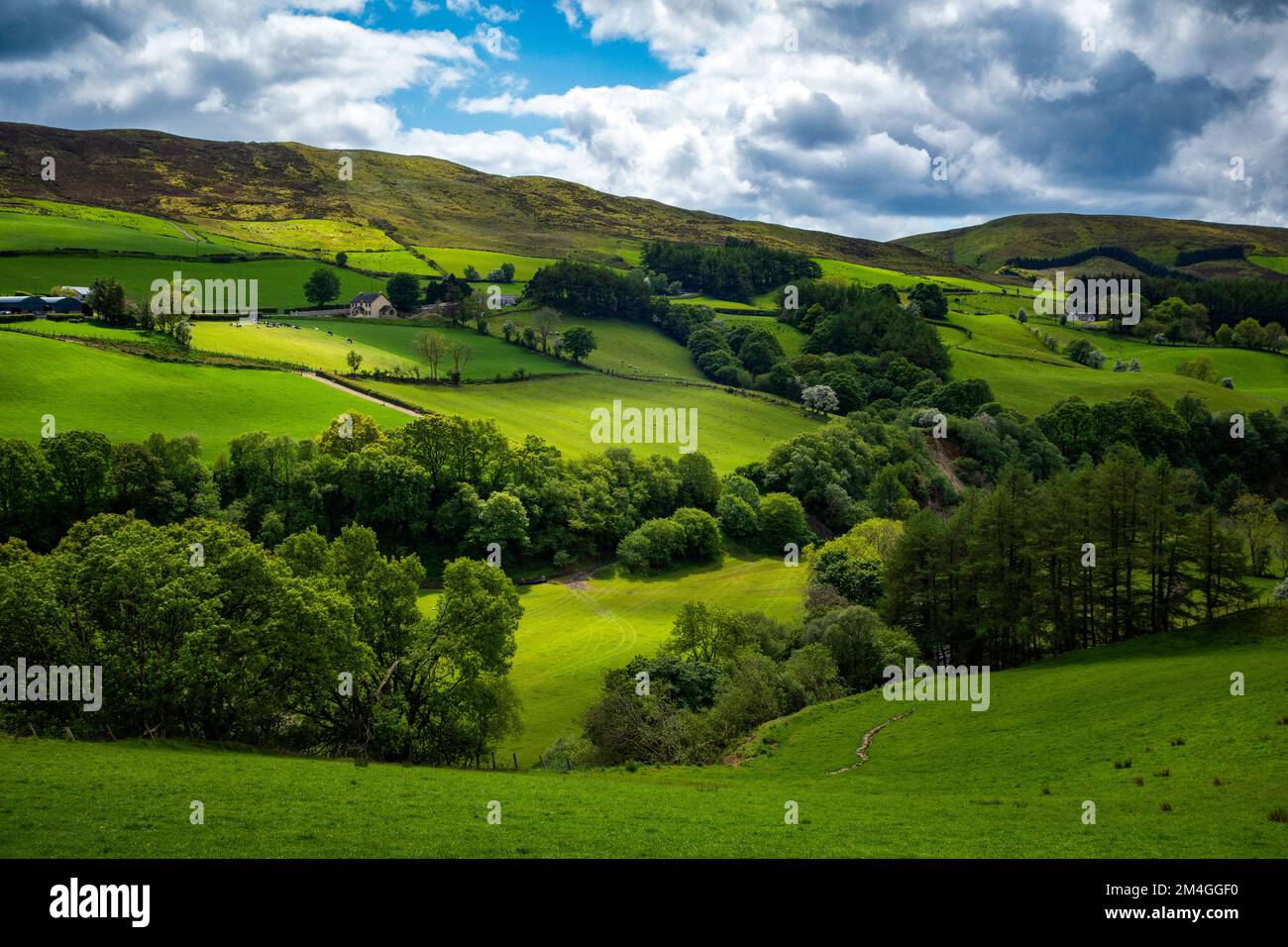 Glenealy Ireland Glenelly valley hi-res stock photography and images - Alamy