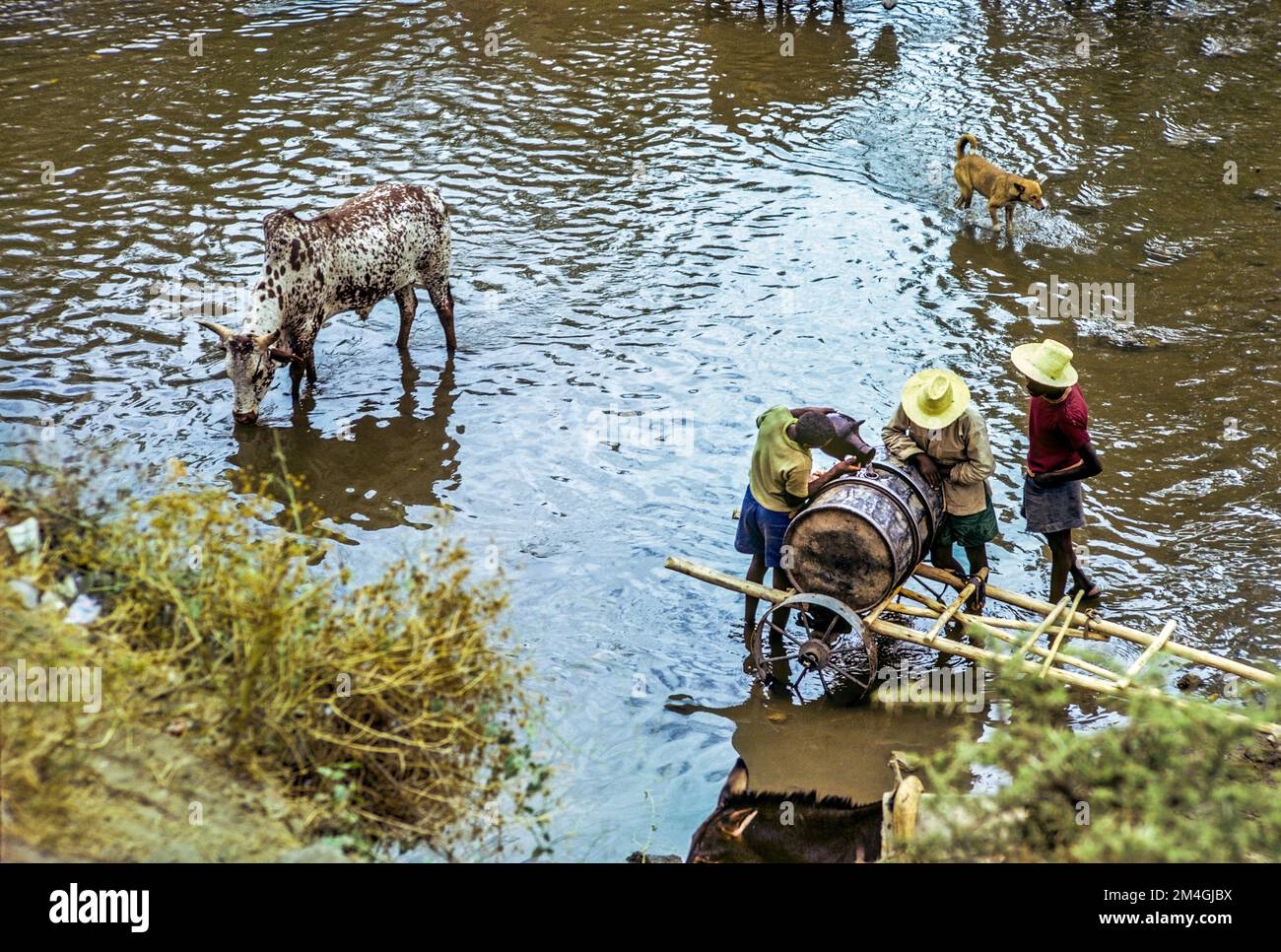 Historical 1970s hi-res stock photography and images - Alamy