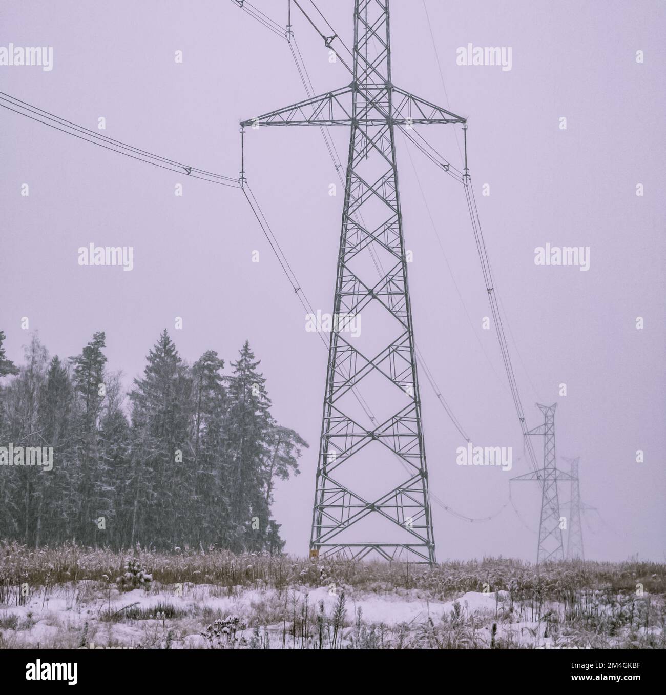 High voltage electricity power line towers near forest at winter Stock ...