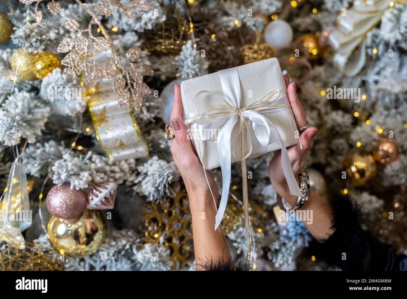 Women's hands give a Christmas tree. New Year. The girl holds a gift on the background of a decorated Christmas tree. Festive mood. Stock Photo