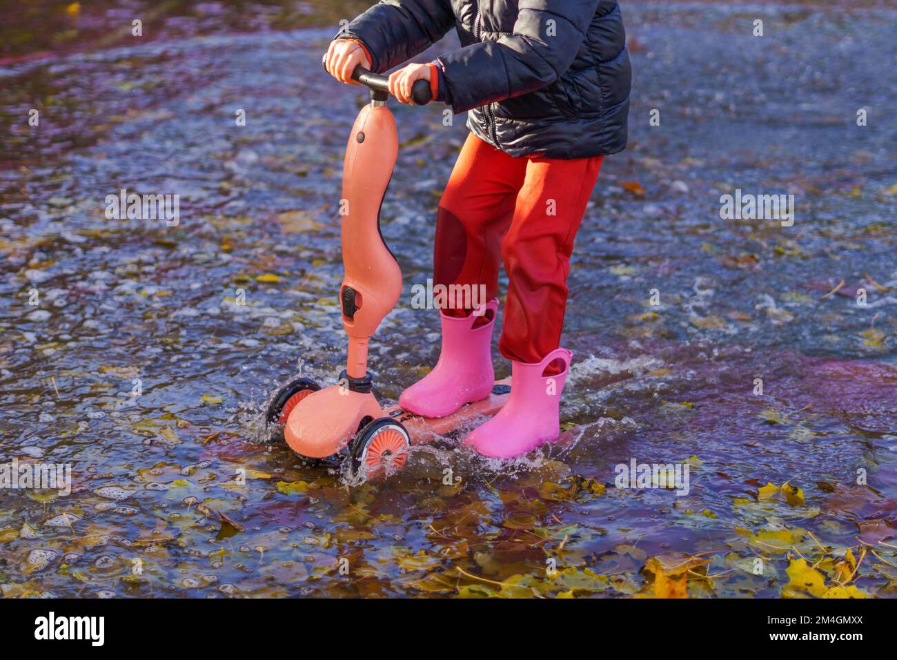 boy riding his skateboard across a puddle on a rainy day with leaves on ...