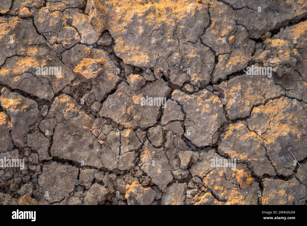 Due to the high sun exposure, the reservoir dried up and the soil