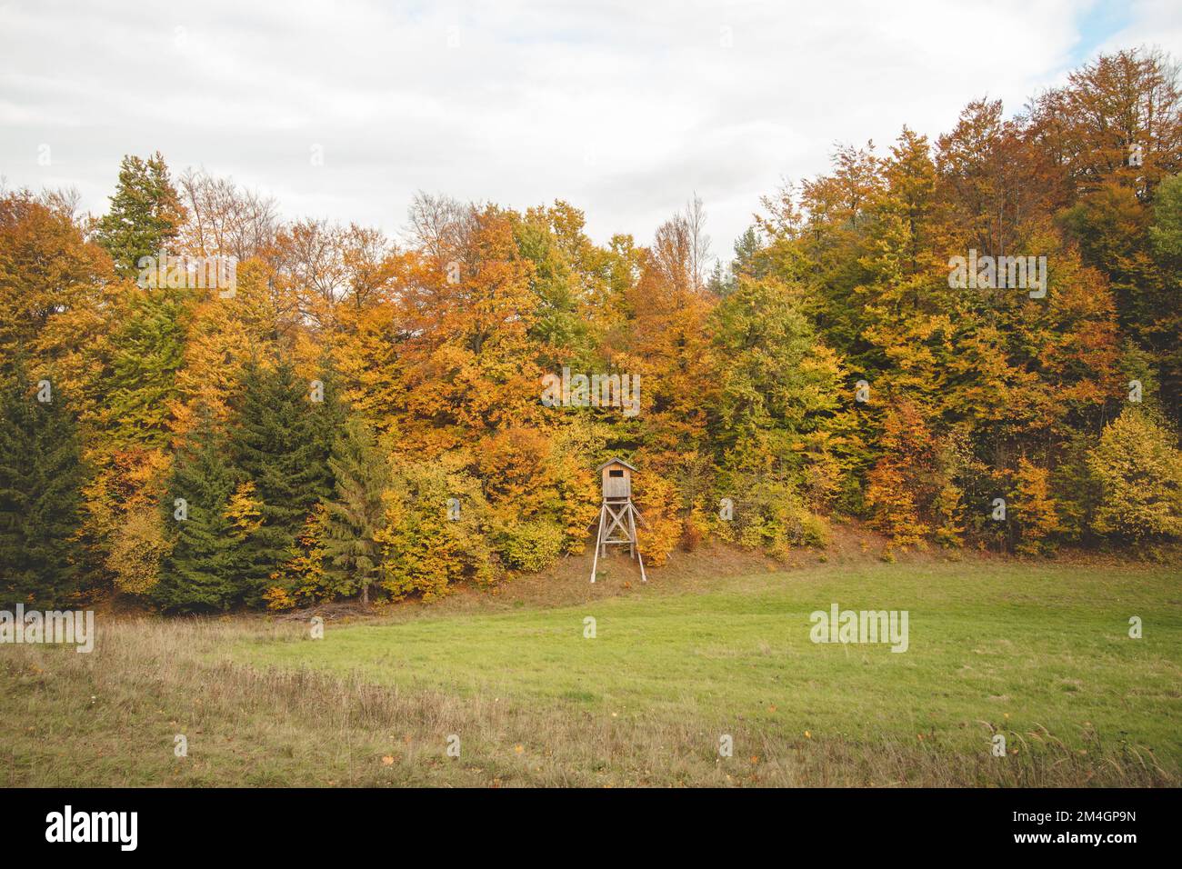 Gorgeous colourful autumn forest with a hunting seat watching the meadow in front of it. Strazovske vrchy, Slovakia, Eastern Europe. The beauty of Nov Stock Photo