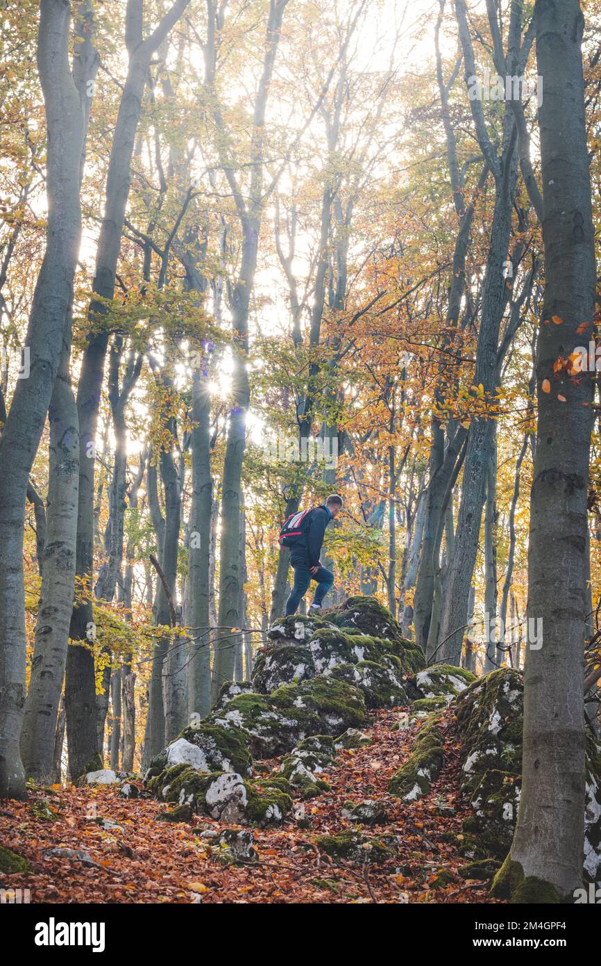 Adventurer ascends to the final point on a rock in the autumn forest in the Strazovske mountains, Slovakia. The man is satisfied with his performance. Stock Photo