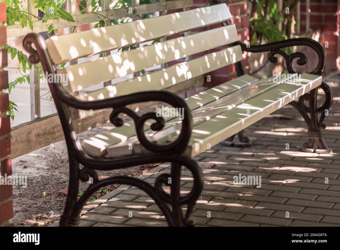An Empty Bench Empty bench in the park, a free place to rest Stock Photo - Alamy