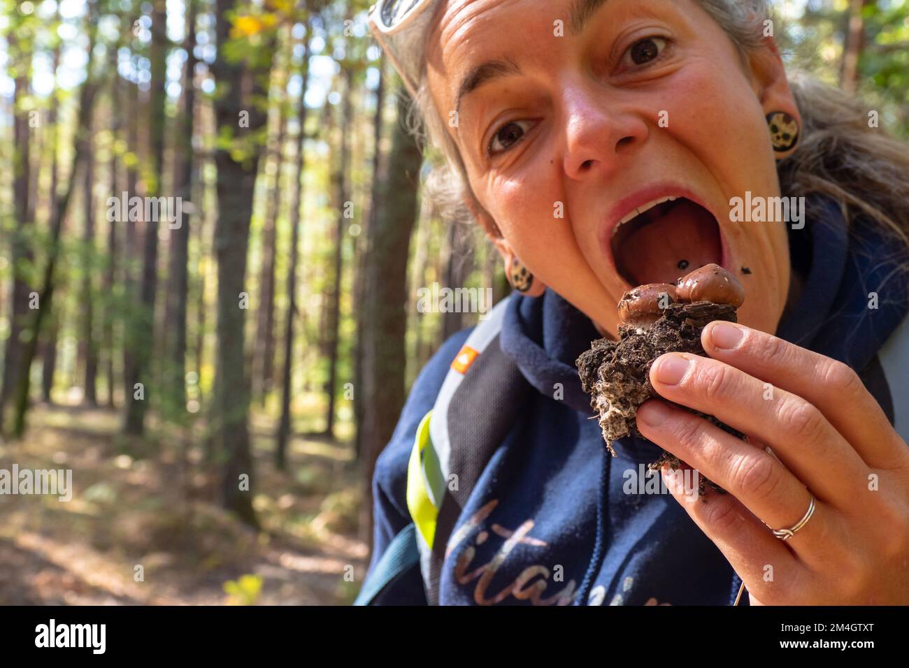 Mushroom forager trying to identify wild mushrooms in the forest with identification book - Mushroom picking and mushroom foraging Stock Photo