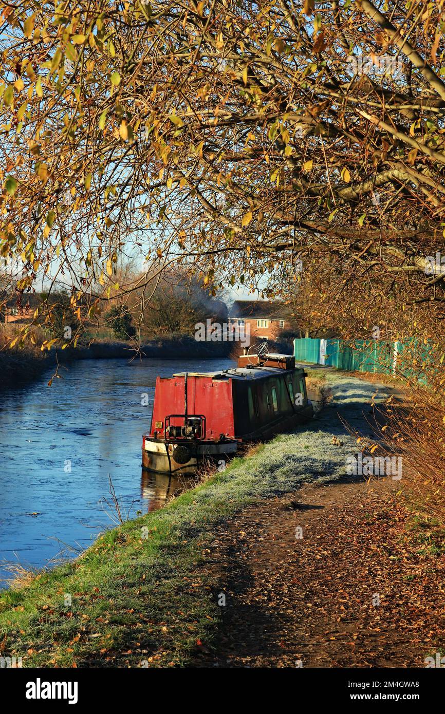 The last of the leaves are hanging onto the trees and are highlighted winter sun near a narrow boat that has been surrounded by the frozen water. Stock Photo