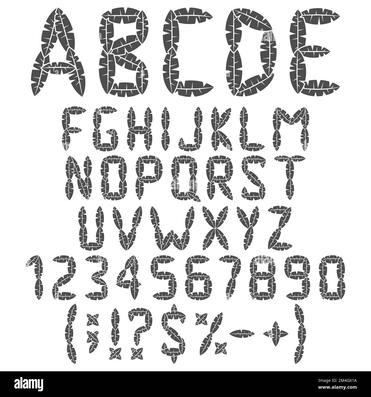 Alphabet, letters, numbers and signs from leaves. Isolated vector