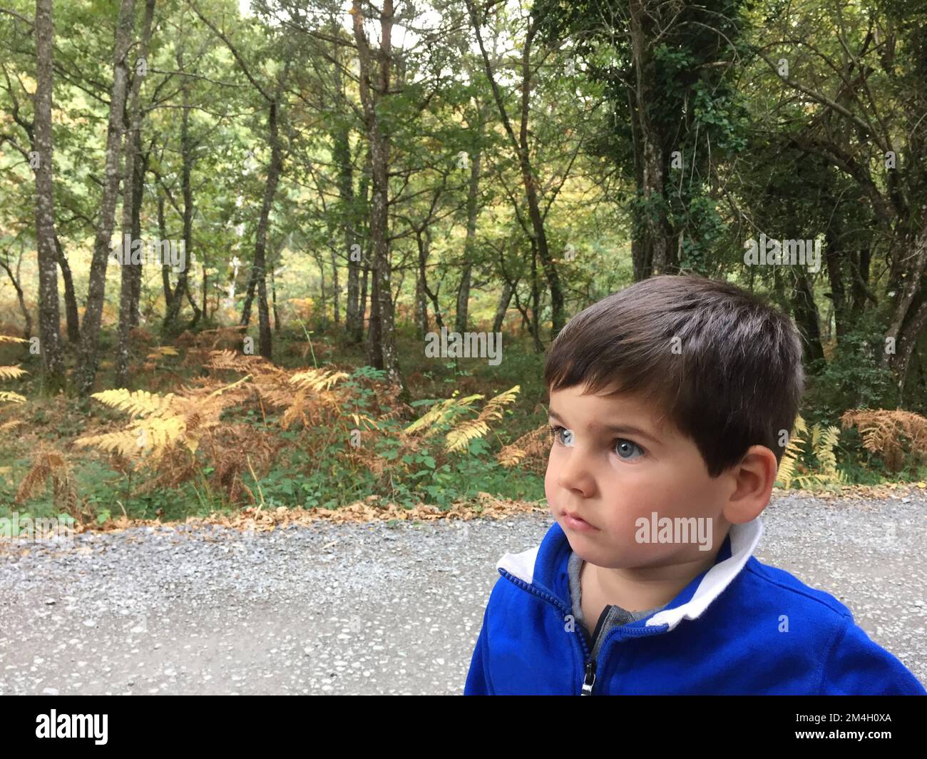 Portrait of cute little boy with blue eyes and big checks looking carefully in nature Stock Photo
